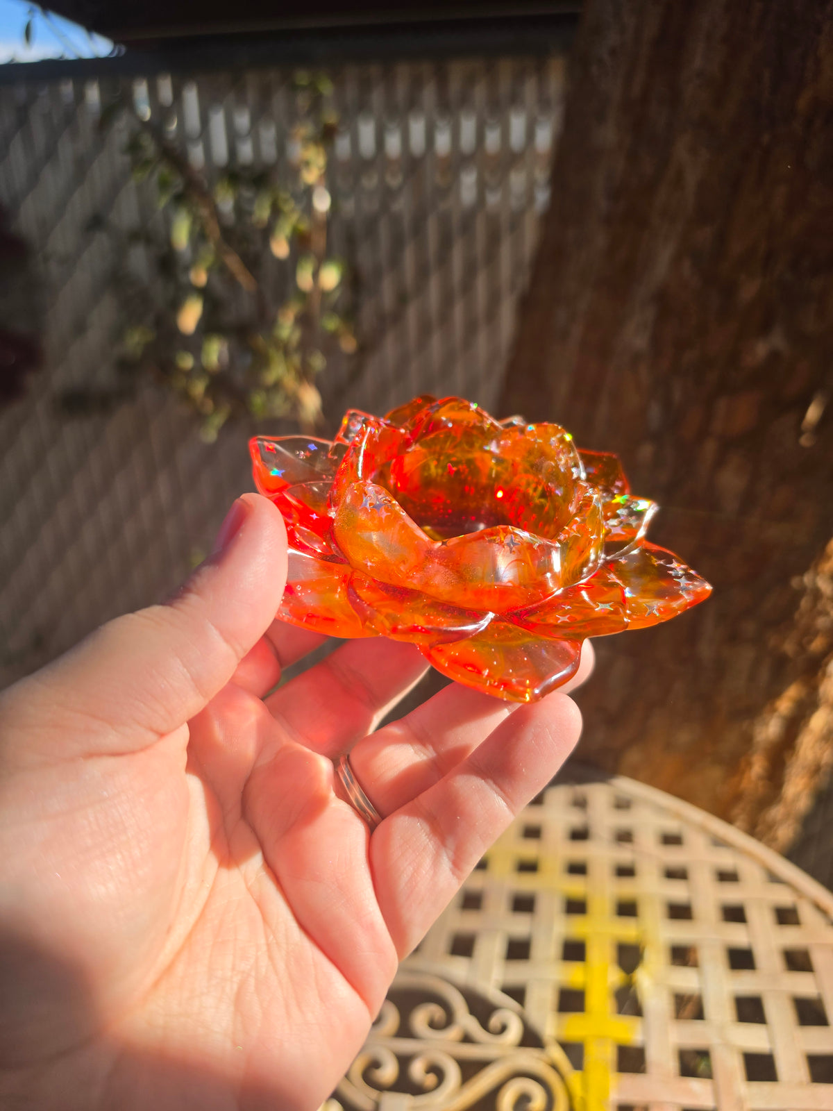 Crimson lotus resin dish in golden sunlight showing warm amber glow through translucent petals