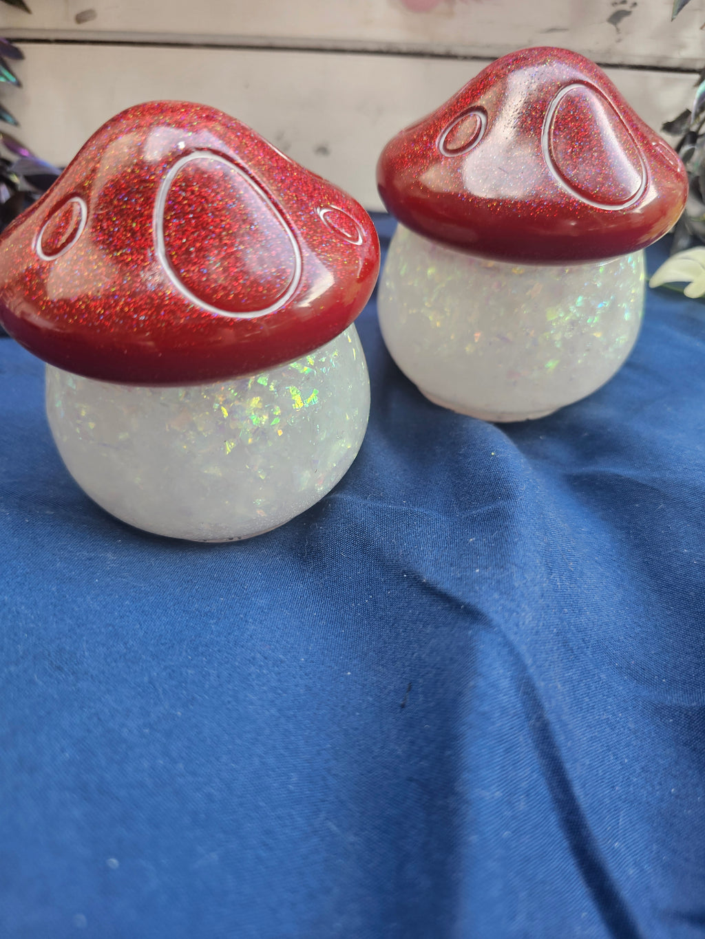 Build Your Own Mushroom Jar | Handmade Resin Mushroom Bar